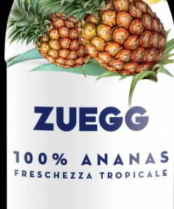 Alternative view of Zuegg ANANAS 200 ml 24 pièces