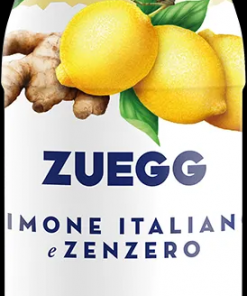 Alternative view of Zuegg CITRON ET GINGEMBRE 200 ml 24 pièces